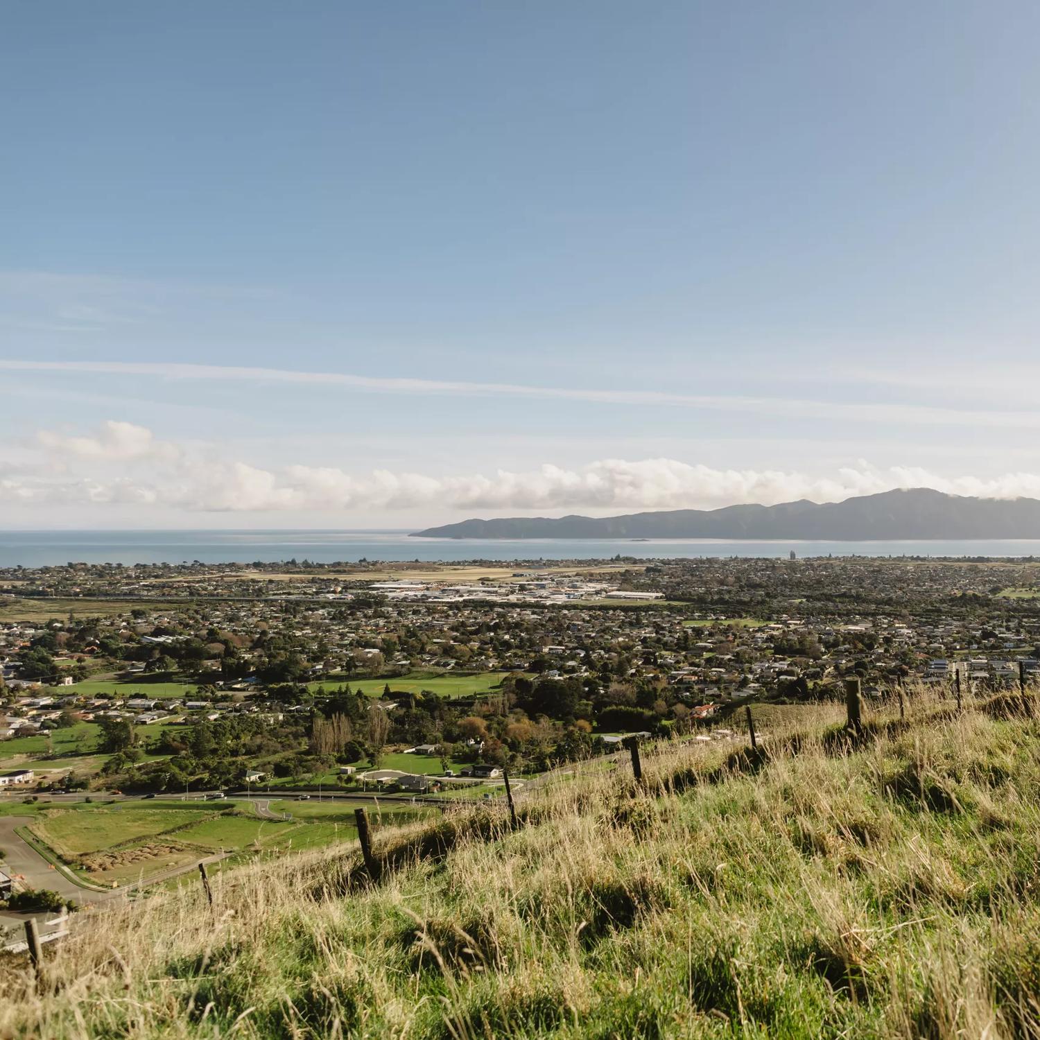 A scenic view of Paraparaumu and Kapiti  Island from a grassy hill at Barry Hadfield Nikau Reserve.