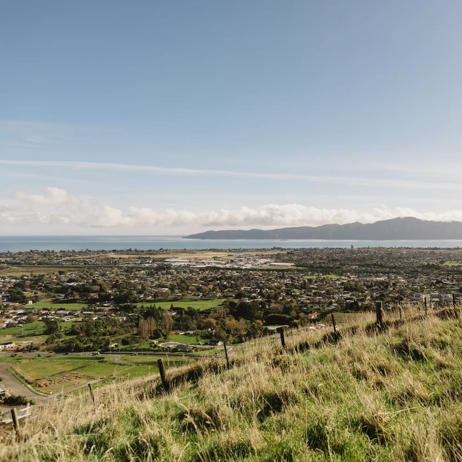 A scenic view of Paraparaumu and Kapiti  Island from a grassy hill at Barry Hadfield Nikau Reserve.