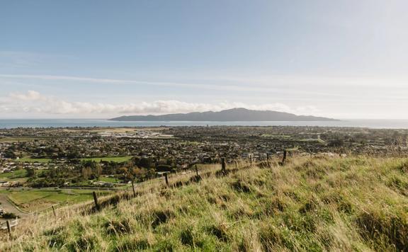 A scenic view of Paraparaumu and Kapiti  Island from a grassy hill at Barry Hadfield Nikau Reserve.