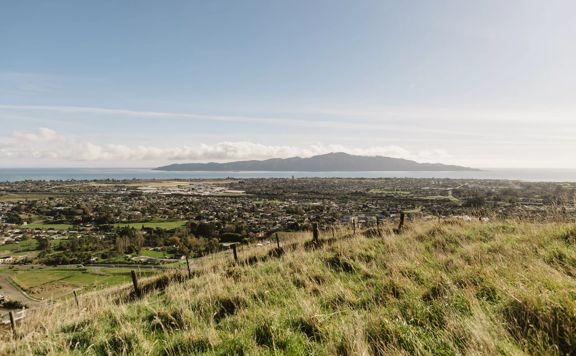 A scenic view of Paraparaumu and Kapiti  Island from a grassy hill at Barry Hadfield Nikau Reserve.