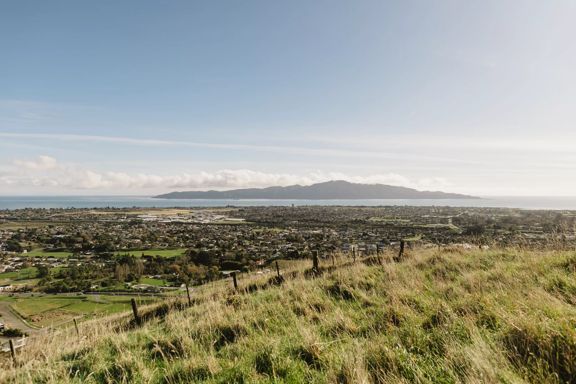 A scenic view of Paraparaumu and Kapiti  Island from a grassy hill at Barry Hadfield Nikau Reserve.