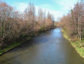 The screen locations for Masterton, Wairarapa. Named best small town in 2017, it features gardens, historic buildings, modern buildings, suburban areas, bridges, and streams.