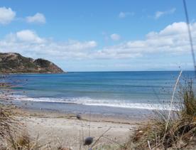 A secluded, sheltered beach located on private farmland. Pikarere Beach is a hidden inlet off Open Bay, just 5 kilometres from Porirua’s city centre.