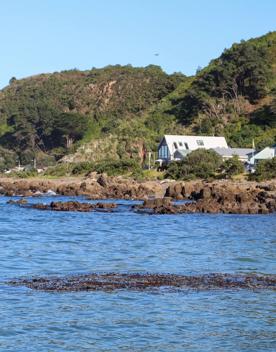 Breaker Bay on a sunny day, blue and green waves crashing on the stoney shore, with green cliffs surrounding.