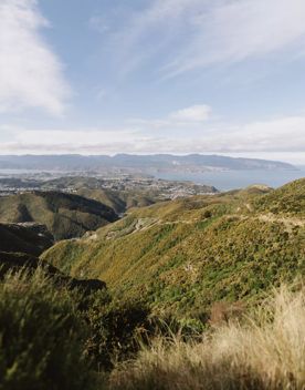 Looking east from the summit of the Tip track across Wellington's southern suburbs with Pencarrow Coast and Remutaka Range in the distance.