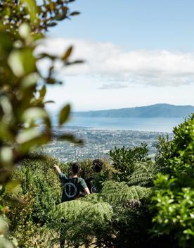 Two people stand on a bench to take in the view from Te Au Track at Hemi Matenga Scenic Reserve.