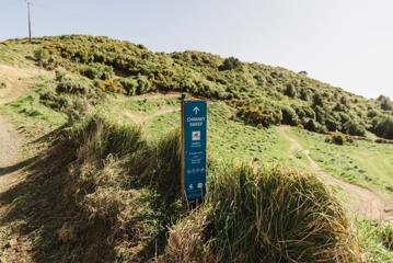 A section of the Chimney Sweep trail in Ngā Ara o Rangituhi. For mountain bikers only, the dirt track winds down a grassy hill overlooking Porirua.