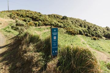 A section of the Chimney Sweep trail in Ngā Ara o Rangituhi. For mountain bikers only, the dirt track winds down a grassy hill overlooking Porirua.