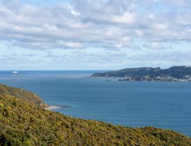 The view of West Harbour from the East harbour Regional park Kowhai Street track.