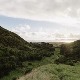 The Catchment View Track in Whareroa Farm, a grassy hill that climbs above the farm with views of the Kāpiti Coast.