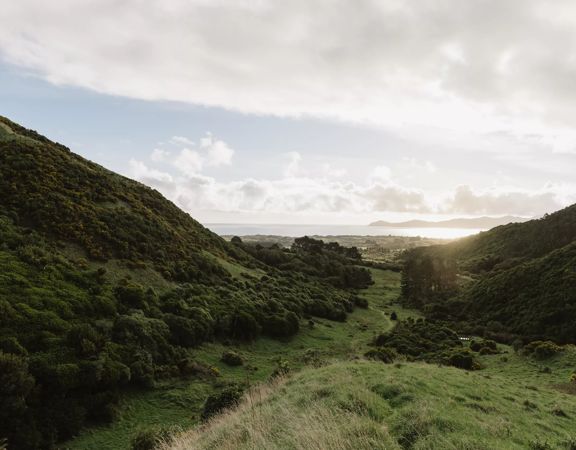 The Catchment View Track in Whareroa Farm, a grassy hill that climbs above the farm with views of the Kāpiti Coast.