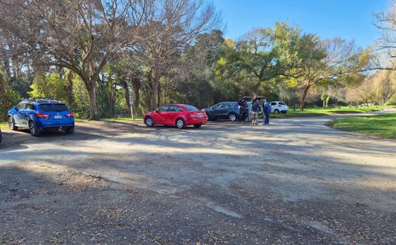 Car parking at Otaihanga Domain.