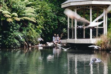 An adult and two children crouch by the duckpond at the Botanic Garden in Wellington. There are green trees and a gazebo structure beside them.