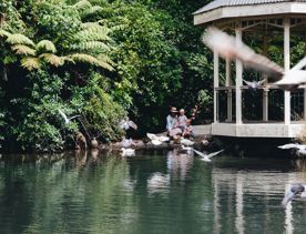 An adult and two children crouch by the duckpond at the Botanic Garden in Wellington. There are green trees and a gazebo structure beside them.