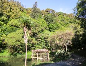 The Percy Scenic Reserve, features walking tracks, lawns, native bushes, gardens, and a large waterfall.