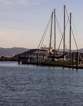 The screen location of Seaview Marina, with hundreds of boats berthed in the seaport.