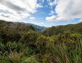 The screen location of Remutaka Summit, wit views of surrounding peaks, lush green bush and steep roads cut into the sides of the mountains.