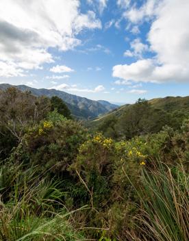 The screen location of Remutaka Summit, wit views of surrounding peaks, lush green bush and steep roads cut into the sides of the mountains.