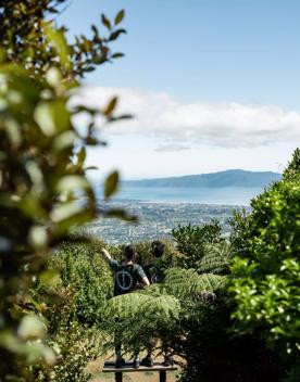 Two people stand on a bench surrounded by trees looking over a scenic vista of Kapiti island.