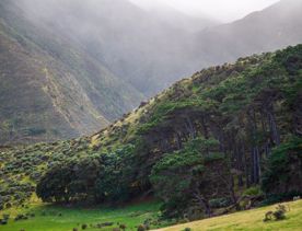 The screen location of Ōrongorongo Station, with many buildings, old and new, as well as views of the ocean and mountains.