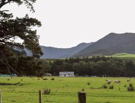 The rural Western Lake road, which connects the Remutaka Range to Lake Wairarapa, features lush green fields and mountains.