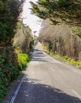 Ohariu Valley Road in Wellington travels through a slice of quintessential Kiwi countryside.