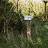 The Bull-A-Varde track in Belmont Regional Park cuts through trees on a single track.