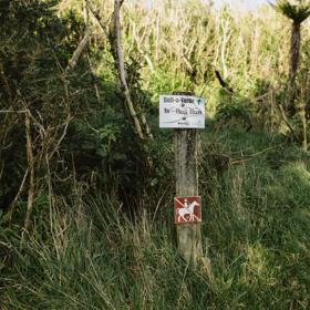 The Bull-A-Varde track in Belmont Regional Park cuts through trees on a single track.