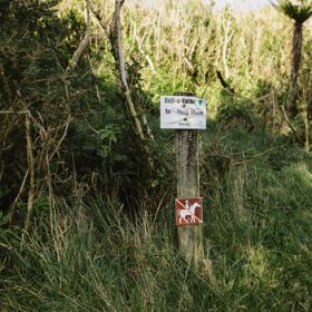 The Bull-A-Varde track in Belmont Regional Park cuts through trees on a single track.