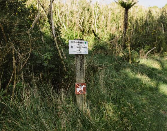 The Bull-A-Varde track in Belmont Regional Park cuts through trees on a single track.