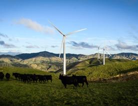 A short drive from the city is a stunning venue. Perched on a rugged coastline, it has sweeping views over the Cook Strait and the South Island.