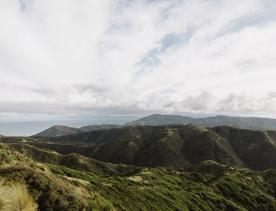 The Mākara wind farm, looking west from the summit of Tip Track, with the Cook Strait and South Island in the distance.