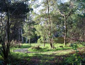 Mangaroa Valley Road screen location, a scenic rural setting with native forest, farmland, and a mountainous backdrop.