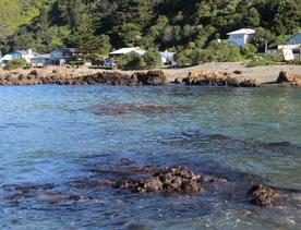 Breaker Bay on a sunny day, blue and green waves crashing on the stoney shore, with green cliffs surrounding.