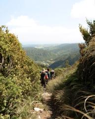 Three hikers walk along a trail in Tararua Forest Park.