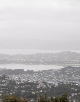 The Brooklyn Wind Turbine sits on a hill above Wellington, with views of the city. Bush and trees surround the area.