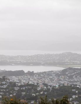 The Brooklyn Wind Turbine sits on a hill above Wellington, with views of the city. Bush and trees surround the area.