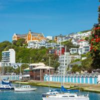 Flowering Pōhutukawa tree in front of the Clyde Quay boat sheds and St Gerard's Church and Monastery on a hill.