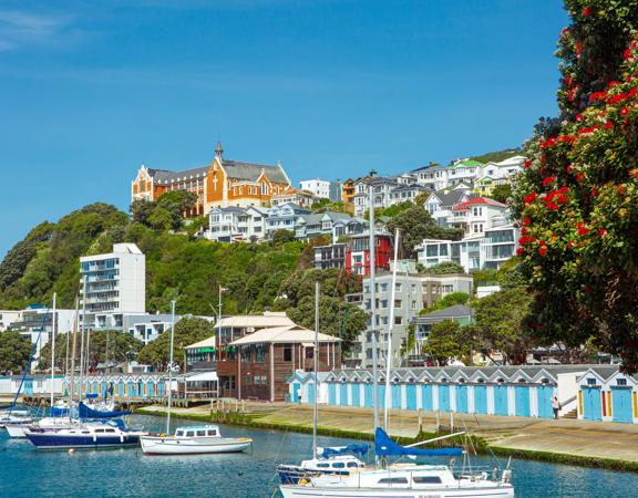 Flowering Pōhutukawa tree in front of the Clyde Quay boat sheds and St Gerard's Church and Monastery on a hill.