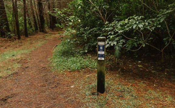 A trail signpost on Lower Pig Track at Tunnel Gully.
