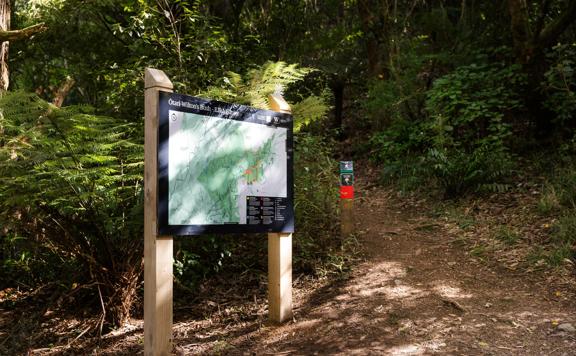 A section of trail on Te Ara Pinaki in Ōtari-Wilton's Bush. The lush green nature contrasts with the brown trail below. In the middle, a sign shows the way to go.
