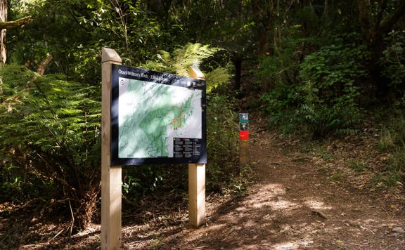 A section of trail on Te Ara Pinaki in Ōtari-Wilton's Bush. The lush green nature contrasts with the brown trail below. In the middle, a sign shows the way to go.