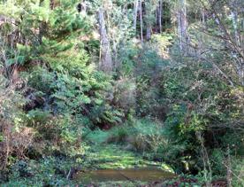 Mangaroa Valley Road screen location, a scenic rural setting with native forest, farmland, and a mountainous backdrop.