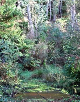 Mangaroa Valley Road screen location, a scenic rural setting with native forest, farmland, and a mountainous backdrop.