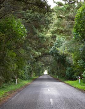 Ōtaki Gorge Road runs parallel to Ōtaki River in the Kāpiti Coast District of New Zealand’s North Island.