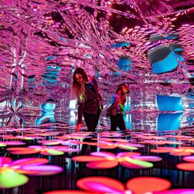 A person walks through an immersive art installation at the Whirinaki Whare Taonga, an arts centre in Upper Hutt Central. The space is illuminated in pink light from a flower-patterned floor and has a wavy, reflective ceiling.