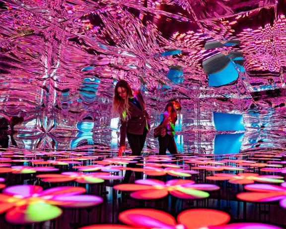 A person walks through an immersive art installation at the Whirinaki Whare Taonga, an arts centre in Upper Hutt Central. The space is illuminated in pink light from a flower-patterned floor and has a wavy, reflective ceiling.