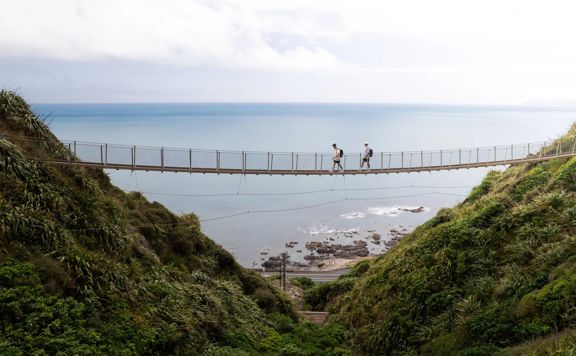 Two people walking along a swing bridge between two hillsides on the Escarpment track above the Kāpiti Coast.