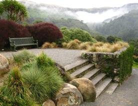 A raised seating area in Ōtari-Wilton's Bus, New Zealand’s only botanic garden dedicated solely to native plants. There are six stairs leading up to a green bench with a view of the cloud-covered mountain range in the background.