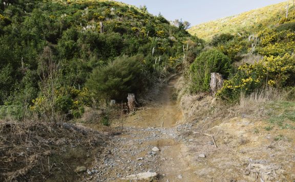 Electric Avenue track at Belmont Regional Park.